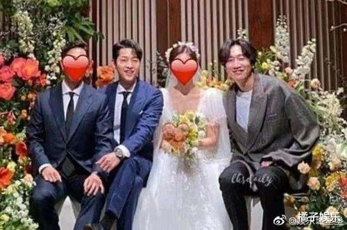 长期食用车前叶蓝蓟籽油的危害