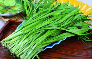 4. 像豆芽的蔬菜——豆芽