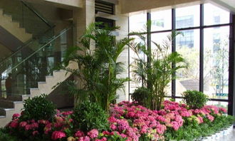 2023田园风格阳台一角绿植设计效果图