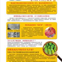 猪饲料需要根据不同生长阶段和季节更换吗？