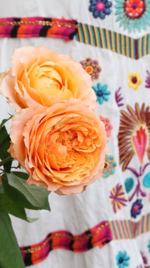 画师眼中的瑰宝