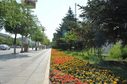 城市绿化的重要性