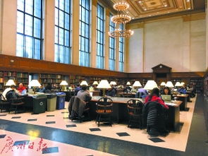 常青藤学校的特点