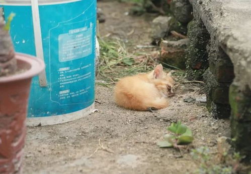 深圳案例：及时处置可降低90%死亡率