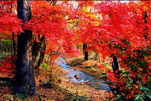 长春秋天景区大全， 全方位攻略来袭