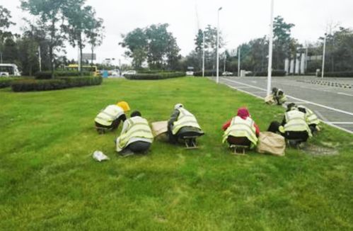 使用除草剂，还有啥讲究？