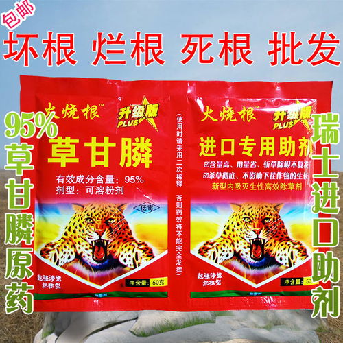 草甘磷甘草磷除草剂如何正确使用以达到最佳除草效果？