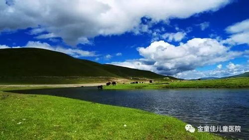 防晒，成了高原生活的必修课