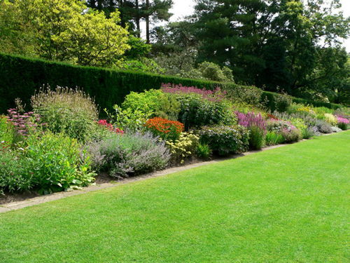 植物花境的设计有不同一般的植物配置