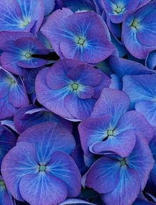 雨季养护有讲究