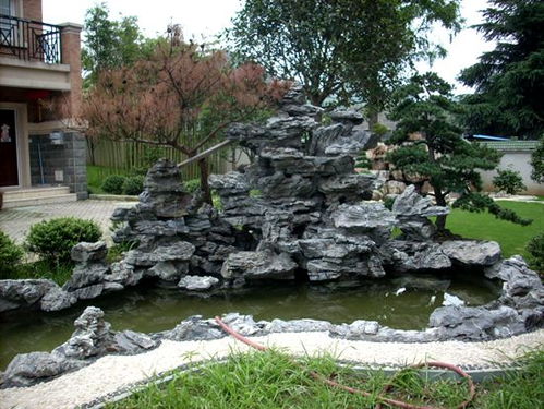 3. 植物搭配的重要性