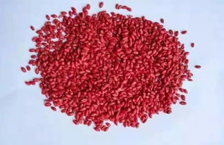 顶苗新种衣剂是哪个公司的？种衣剂和拌种剂有什么区别？