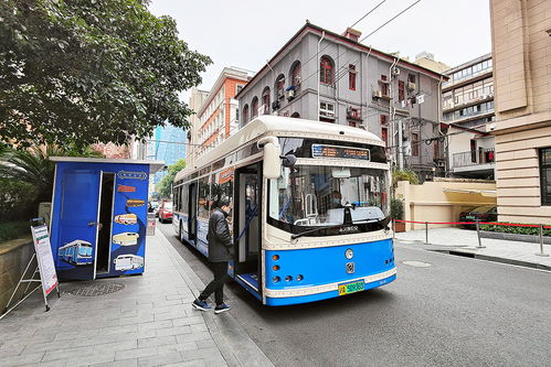 探秘19路公交：它真的会路过农药市场吗？
