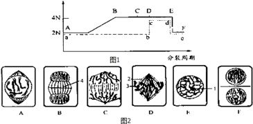 研究研究， 节水是关键