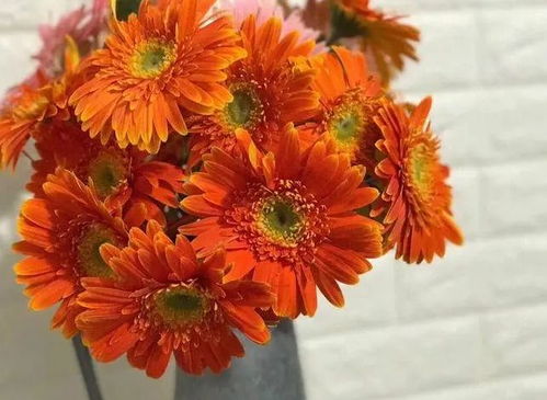 浸烫法， 防止花枝组织中液汁外溢