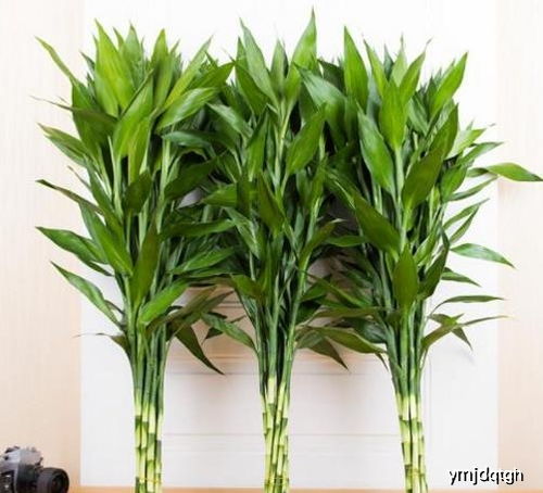 温度控制， 避免冻伤