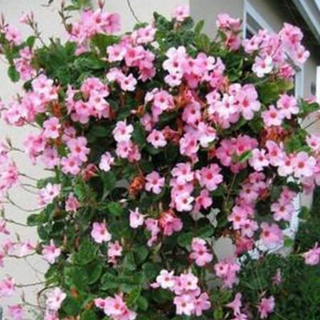 先说说选个好的“家”