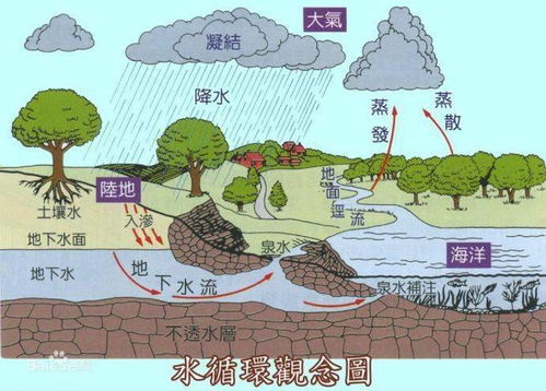 揭秘农业灌溉：揭秘自然界中的水循环奥秘