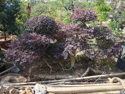 脱盆难题，破解之道