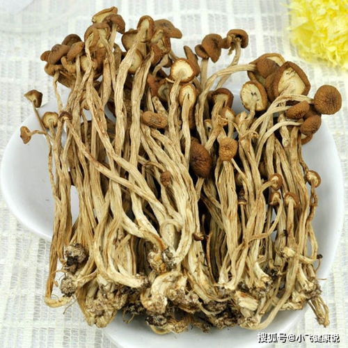 茶树菇：天然滋补佳品