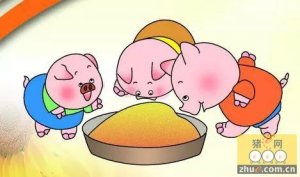 饲料中添加的维生素对猪的生长性能和肉质品质有何具体影响？