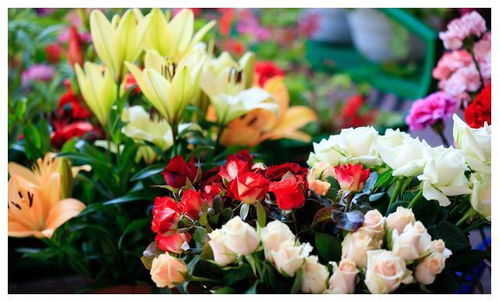 网购平台优劣大对比