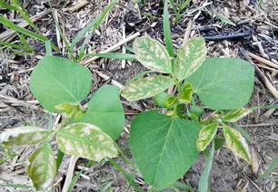 注意事项，不Neng少