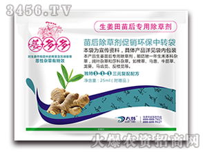 生姜苗后除草剂的使用