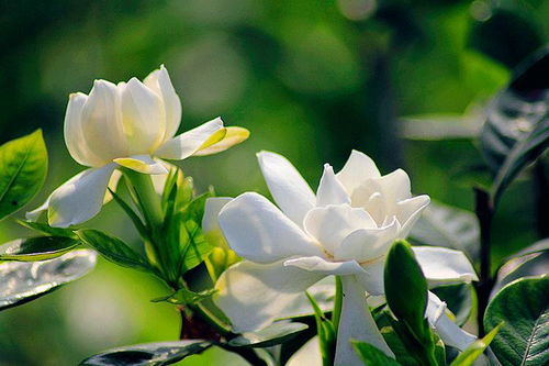 操作要点：三大准备要点