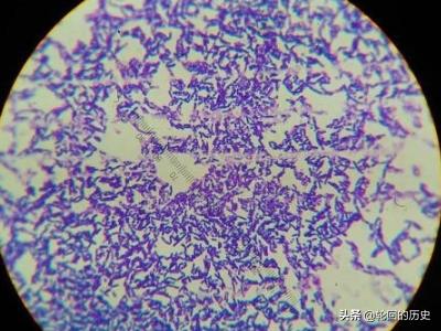 农作物保卫战：己唑醇的神奇力量