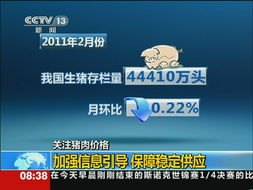 2026年猪饲料价格跌破成本，新手如何低成本养猪赚钱？