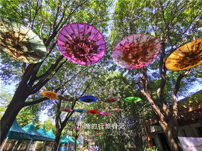 荷花，文化的象征