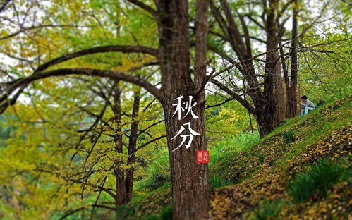 新西兰旅游攻略