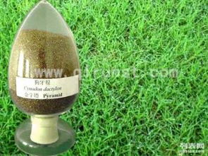 种植花种的时期