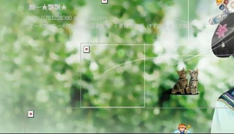 初恋叶片打开怎么回事？是梦境还是现实