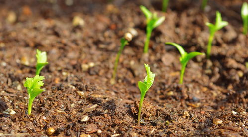 温度控制，细节到位