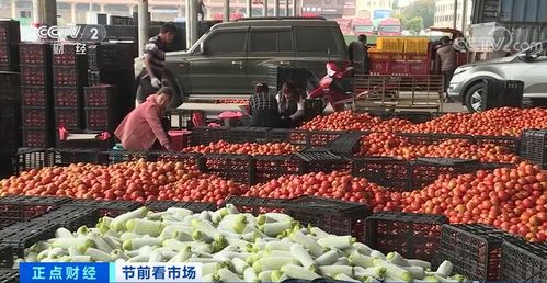 元谋县的冬春蔬菜