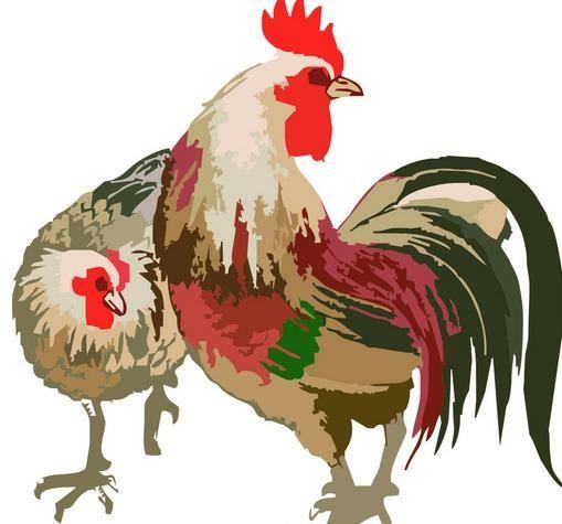 罗汉松：大自然的长寿使者