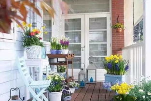 球根花卉，你知道吗？