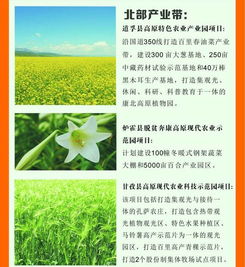 自问：为什么狗牙根嫩承包全国65%的绿化带？