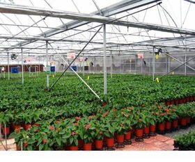 突然降温怎么办？