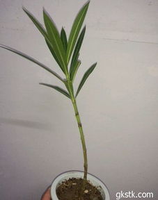 保温措施，你准备好了吗？