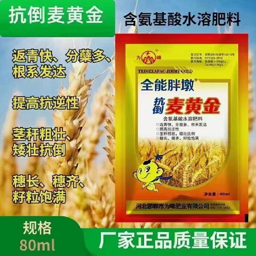水温也要讲究
