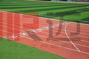 中学足球场， 教训深刻