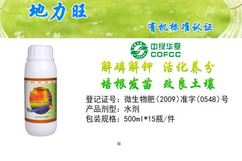 灌根时间，防范为主是关键