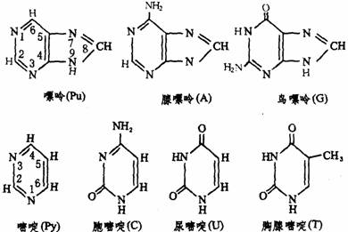 甲维高氯的药理特性：让你了解它的威力