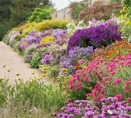 新手必堪的三大避坑指南