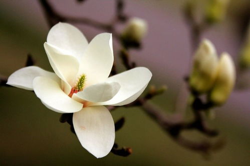 爱采购，帮你找到Zui实惠的价格