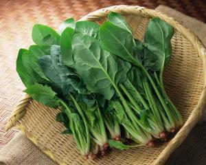 大叶菠菜种植技术，关注菠菜品种选择、播种、施肥、病虫害防治等环节