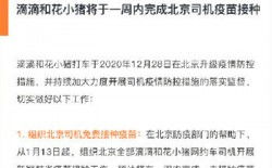 仔猪疫苗注射，严格遵循操作规程